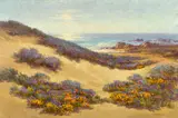 William Franklin Jackson, Wildflowers along the coast