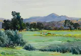 Anna Althea Hills, Cows in a pasture with hills beyond