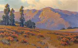 John Marshall Gamble, Wild buckwheat, evening