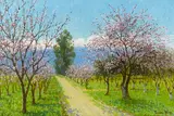 Theodore Wores, Almond blossoms, Los Altos