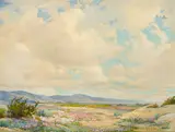 Anna Althea Hills, When the desert blooms