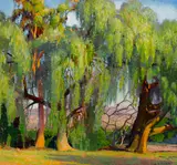 Arthur Grover Rider, Pepper trees