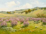 Albert Thomas Derome, Purple bush lupin, Salinas Canyon