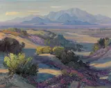 Fred Grayson Sayre, Desert flowers