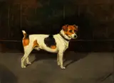 John Alfred Wheeler, A study of a Jack Russell terrier, oil on board