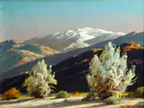 Paul A. Grimm, Desert mood, oil on canvas affixed to board