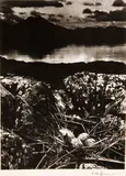 Bill Brandt, Gull's Nest, Midsummer Eve, Isle of Skye