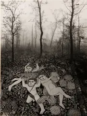 Untitled (Forest Carpet) by Jerry Uelsmann, 1976, Gelatin silver print, offered Jul 2014