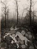Jerry Uelsmann, Untitled (Forest Carpet)