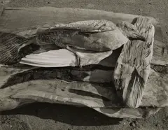 Navarro River, California by Minor White, 1948, Gelatin silver print, sold Jul 2014