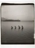 Piling by William Wegman, 1998, Polaroid print, mounted, sold Jul 2014