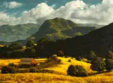 James A. Fetherolf, Near Malibu Lake, oil on canvas
