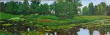 Jesse Don Rasberry, Tilden Pond, oil on masonite