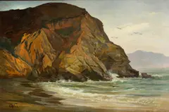 Henry Otto Wix, Rocky coast with birds, oil on canvas