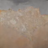 Louis Siegriest, Paradise Valley
