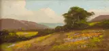 John Marshall Gamble, California wildflowers, oil on canvas affixed to board
