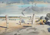 Roy Martell Mason, Brant on a lonely shore, watercolor on paper