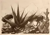 José Clemente Orozco, Mexican Peasants Working (Maguayes y Nopales) (H. 17)