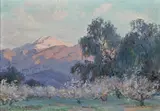 Anna Althea Hills, Evening glow, Mount San Jacinto with flowering almond trees