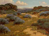 John Marshall Gamble, Bush lupine, seaside