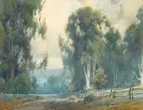 Percy Gray, Eucalyptus in the California hills