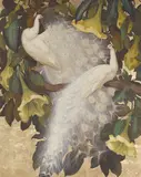 Jessie Arms Botke, White peacocks and copa de oro