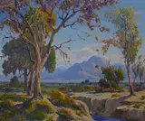 Fred Grayson Sayre, The desert in bloom