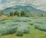 Bert Geer Phillips, Wild iris near Taos mountain