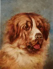 unknown Artist, Head of a St. Bernard, oil on board