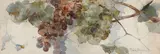 Franz Bischoff, Grapes on a vine, watercolor on paper
