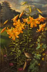 Raymond C. Booth, Lilium 'Thunderbolt', oil on board