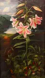 Raymond C. Booth, Lilium 'Pink Glory', oil on board
