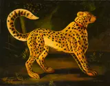 Reginald Baxter, Standing cheetah, oil on canvas
