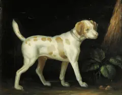 John Gray, Dog in a landscape, oil on canvas