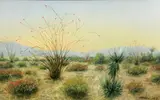 Hugo A. Possner, Desert in bloom, 1930, oil on board