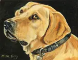 Various Artists, A group of 7 pictures and 2 lithographs featuring dogs of various breeds (9), various mediums