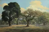 California live oaks, Alameda by American School, 1907, oil on canvas, sold Aug 2013