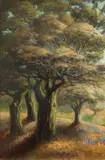 Mary DeNeale Morgan, California trees