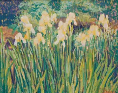 Sam Barber, Iris Patch, 1988, oil on canvas