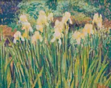 Sam Barber, Iris Patch, 1988, oil on canvas