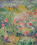 Sam Barber, Poppies, oil on canvas