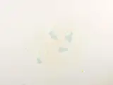Joe Goode, Two Prints, from Floating Card, 1969 (2), Lithograph in colors on wove paper, each signed in pencil and dated