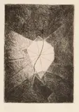 Portfolio, Paroles Peintes III, 1967