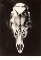 Skull and Rosary by Ruth Bernhard, 1945, Gelatin silver print, offered Jun 2013