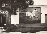 Manuel Álvarez Bravo, Paisaje y Galope