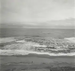 Cape Cod by Harry Callahan, 1972, Three gelatin silver prints, offered Jun 2013
