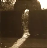 Arched Hedge, The Courts, Wiltshire, England by Lynn Geesaman, 1991, Gelatin silver print, offered Jun 2013