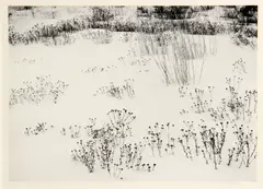 Robert Werling, Mono Lake, 1970s, Gelatin silver print