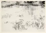 Robert Werling, Mono Lake, 1970s, Gelatin silver print