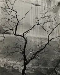 Glen Canyon by Brett Weston, 1959, Gelatin silver print, offered Jun 2013
